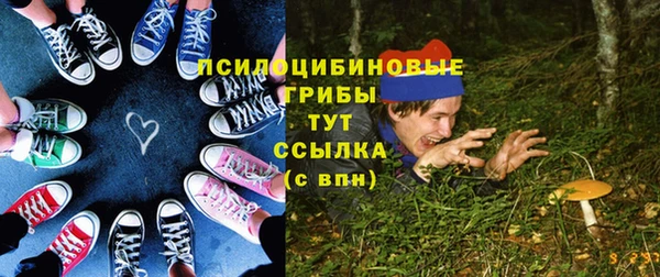 бутират Арсеньев