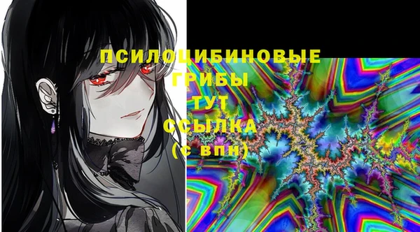крисы Алзамай