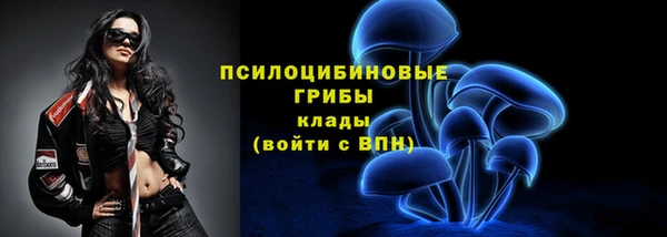 бошки Алексин