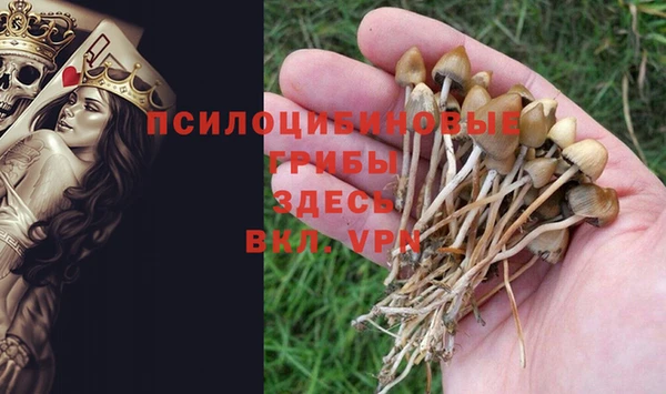 бутират Алексеевка