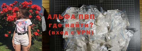 крисы Алзамай