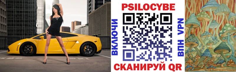 закладка  Ахтубинск  дарк нет как зайти  Псилоцибиновые грибы Cubensis 